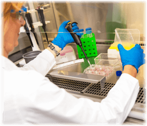 scientist filling vials