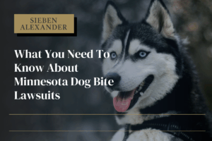 Is Minnesota a No-Fault State? Sieben Polk P.A.