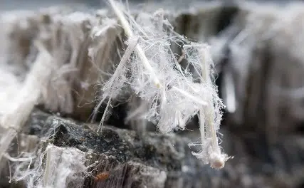 Asbestos exposure